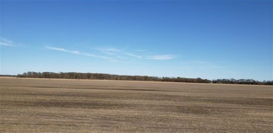 Tract 4: 146.76 acres m/l Irrigated Tillable Farmland