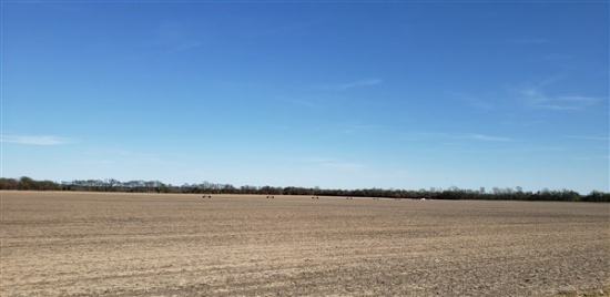 Tract 5: 182.03 acres m/l Irrigated Tillable Farmland