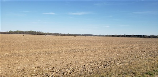 Tract 7: 121.86 acres m/l Irrigated Tillable Farmland