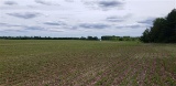 Tract 2: 34.59 acres m/l Tillable Farmland