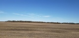 Tract 4: 146.76 acres m/l Irrigated Tillable Farmland