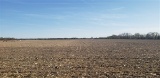 Tract 6: 80.63 acres m/l Irrigated Tillable Farmland