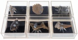 Collection of 6 Genuine Fossil Bug - Bug in a Box. Selections May vary From Each Bag.