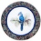 Christine Marshall - Collector Plate , Whispering Pines , Blue Jay