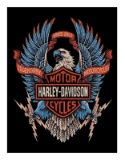 Harley Davidson 11x14 Collector Giclee