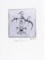 Christian Morrisseau - Woodland Artist Canada- Silver Leaf Limited Edition /100 Litho - 