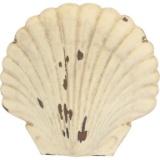 (Shell) Clam Sign