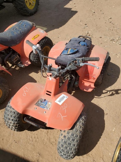 Mini Quad Runner