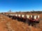 - IH 900 8 ROW 3 PT. PLANTERS, DOUBLE BOXES ...