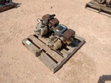 (2) Red Lion Water Pumps