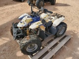 Mini ATV