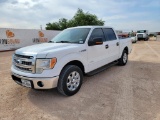 2013 Ford F-150 Pickup