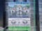 Unused Greatbear 20ft Gate with artwork ''DEER '' in the Middle Gate Frame