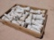 Unused Drilling Bits