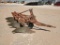 Allis Chalmers 4 Bottom Plow