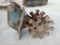 24 EXCS Sheepsfoot Compaction Wheel
