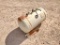 Propane Tank