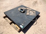 Mettler Toledo Floor Scale