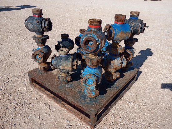 (13) 2 x 2 Plug Valves Assembly C.W.P. 15000 w/Storage Rack