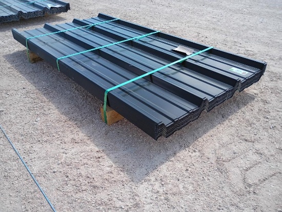 (50 pcs) 22 Gauge R Panels 6ft Long, Color Black