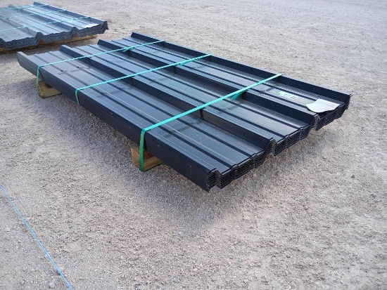 (50 pcs) 22 Gauge R Panels 6ft Long, Color Black