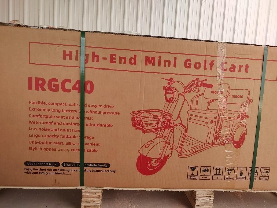 IRGC40 High-End Mini Electric Golf Cart (Color Green)