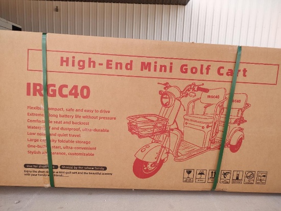 IRGC40 High-End Mini Electric Golf Cart (Color Purple)