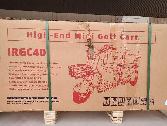 IRGC40 High-End Mini Electric Golf Cart (Color Red)