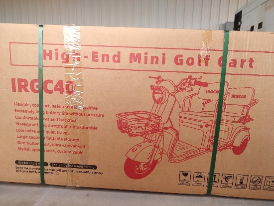 IRGC40 High-End Mini Electric Golf Cart (Color Green)