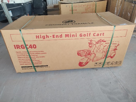 IRGC40 High-End Mini Electric Golf Cart (Color Purple)