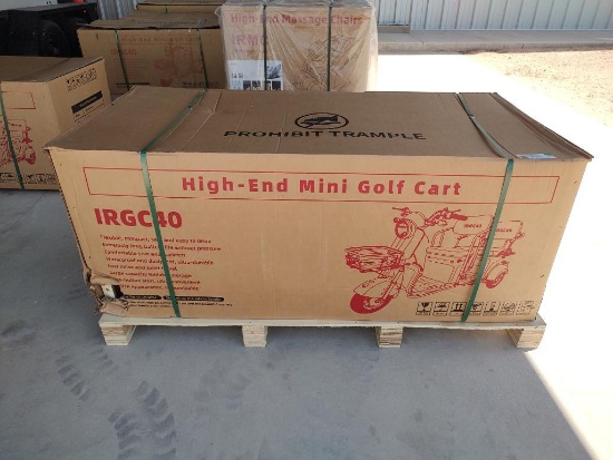 IRGC40 High-End Mini Electric Golf Cart (Color Purple)