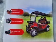 Electric Golf Cart (Color Black)