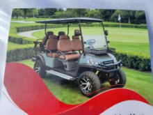 HQ100 Electric Golf Cart (Color Black)