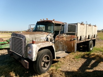 International Loadstar Truck