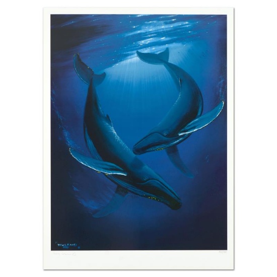 Wyland "Song Of The Deep" Limited Edition Lithograph On Paper