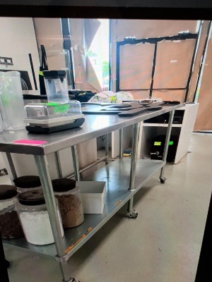 SS Work Table With Under Shelf And On Casters