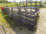 (2) New Preifert Bull Gates - 16', Gray (2 x Bid Price)