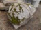 Pallet w/ Lg. Fossiled Landscape Boulder (sold by pallet)