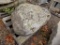 Pallet w/Lg. Fossiled Landscape Boulders (sold by pallet)
