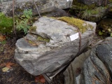 Pallet w/(1)Lg. Moss/Fossiled Landscape Stone (sold by pallet)