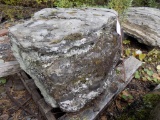 Pallet w/(2)Lg. Moss/Fossiled Landscape Stone (sold by pallet)