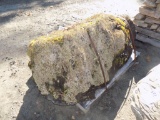 Pallet with (1) Large Fossiled Landscape Stones (Sold by Pallet)