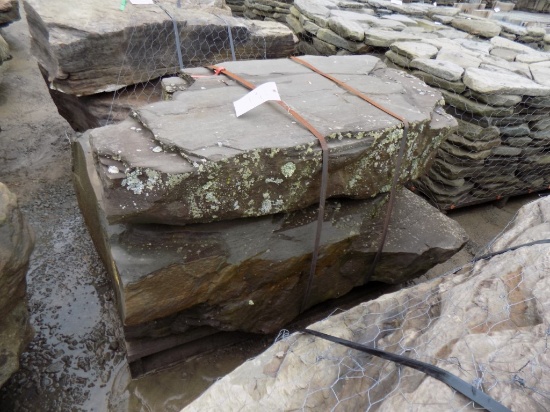 Pallet of (2) Large, Heavy Fossilled Decorative Stones/Boulders, Sold by Pa