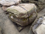 Pallet of (2) Landscaped Boulders, Heavy Fossilled, Sold by Pallet