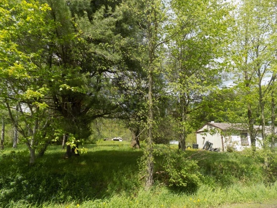 Sale / Serial #: 17-764, Town of Triangle, Address: 311 Wilson Hill Road, L