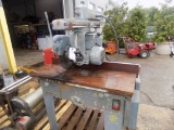 Rockwell Industrial Radial Arm Saw, Model 33-389