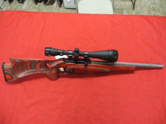 Ruger - 10/22 - .17HM2 E.R. Shaw Custom