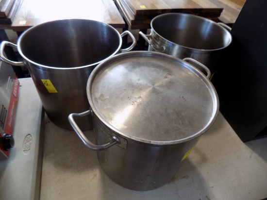 (3) Stainless Stock Pots (3 x Bid Price)