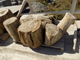 Group of Tumbled, Landscape Wood, 4 Pieces, Sold by Pallet