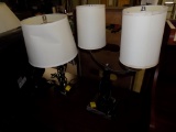 (2) Lamps, (1) Stainless Steel, Swing-Out, (1) Black Double-Fixture, Both H
